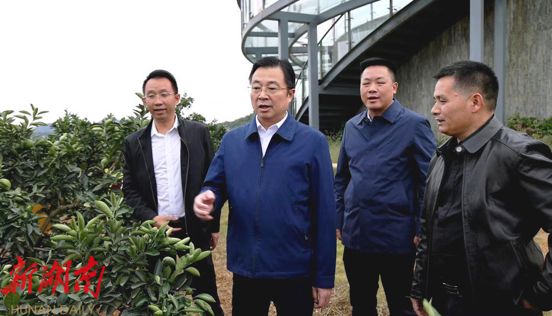 蔡典维到崀山镇窑市村调研乡村振兴工作_邵阳头条网